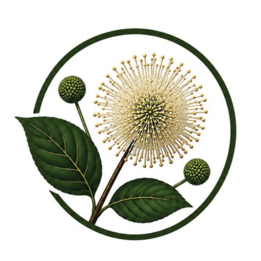 ButtonBush Co. Ltd